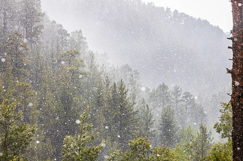 夏日的雨滴