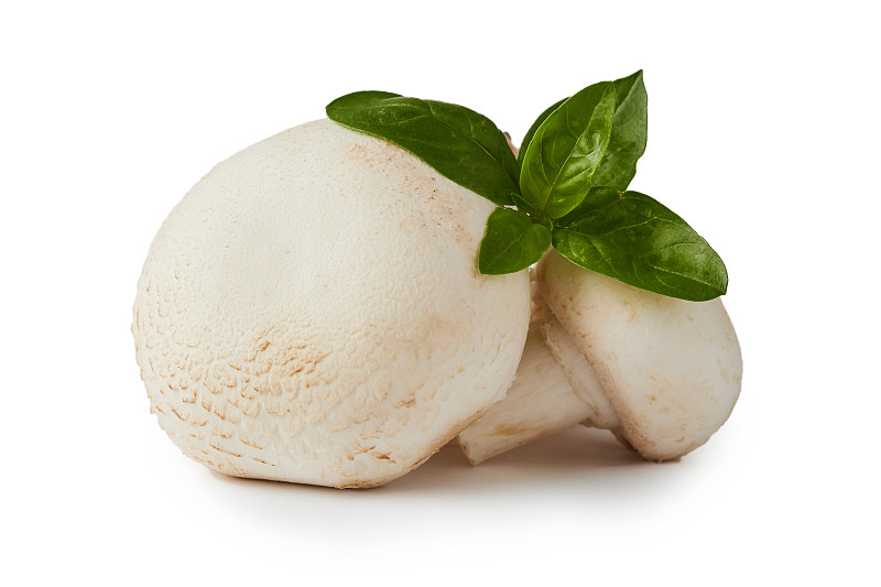 生蘑菇蘑菇