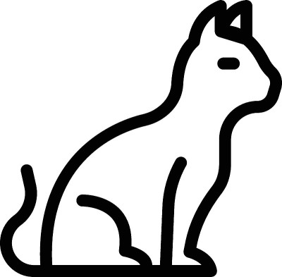 猫
