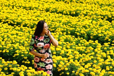 春天花园里的女孩