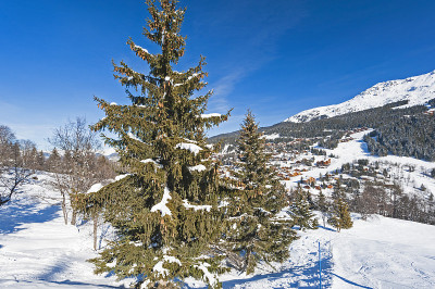 全景横跨冰雪覆盖的高山山脉