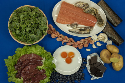 俯视图鲑鱼，肝脏和其他营养丰富的食物