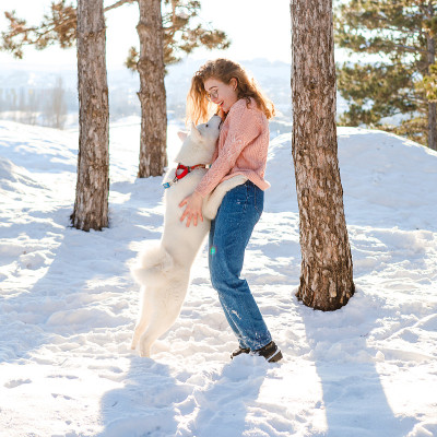一个卷发的女孩和一只白色的秋田犬在白雪覆盖的森林里散步。
