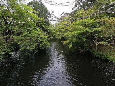 玉府市金陵湖的景色