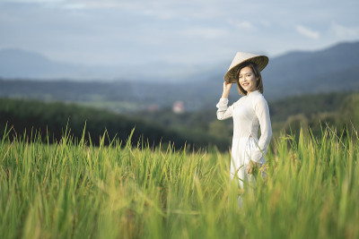 年轻女子穿着傲戴站在越南稻田