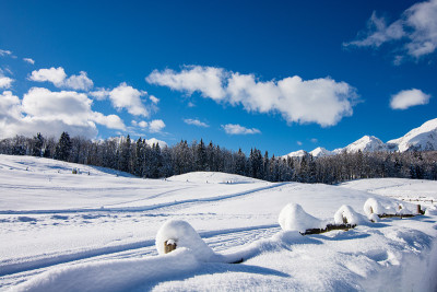 在高山上的雪地里过寒假