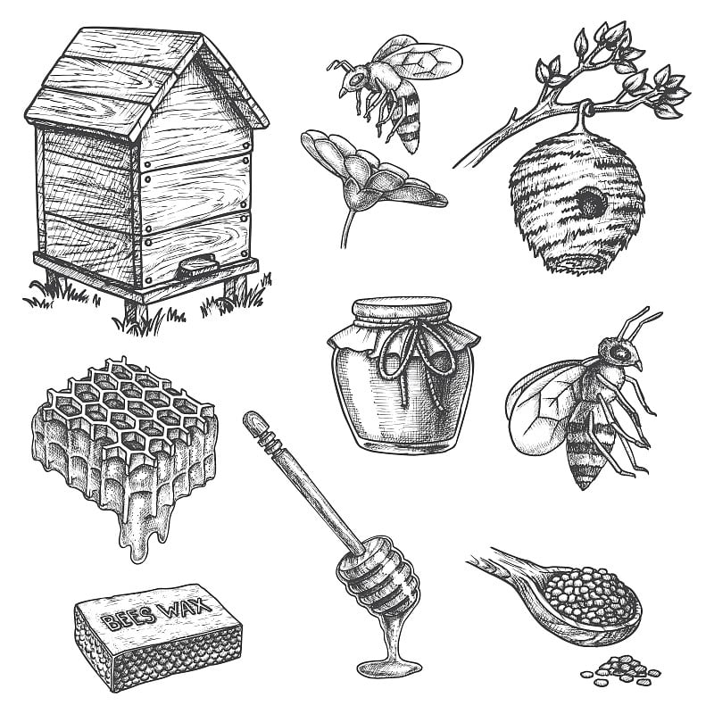 Apiary sketch icons, honey dipper, hive, honeycomb