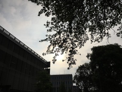 五月的土耳其橡树