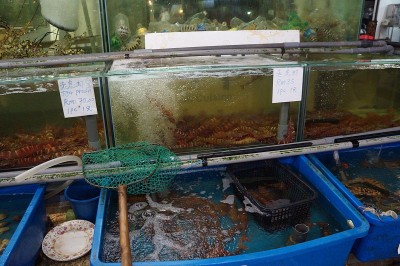 马来西亚Kinabalu市