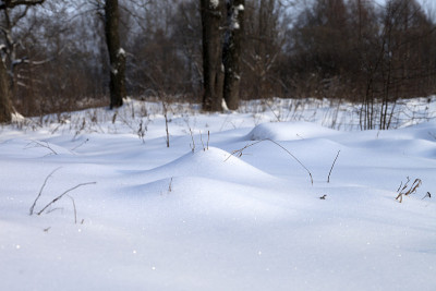 冬天森林里的雪堆