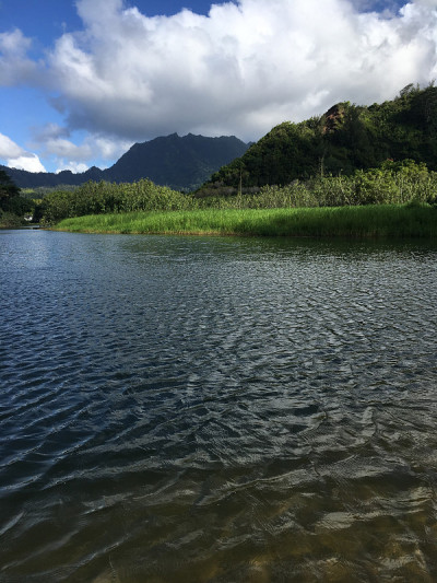 夏威夷考艾岛哈纳雷海湾的怀奥里河，进入太平洋。