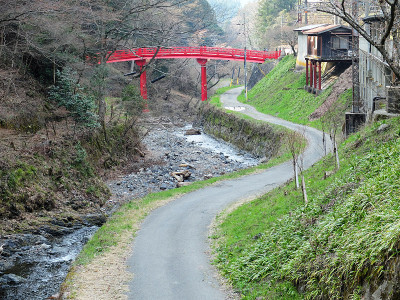 乡村运河旁的小路，有红桥