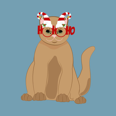 猫在滑稽的圣诞节日节日饰品