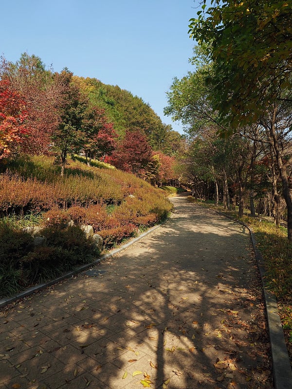 韩国崇州市闽东山秋林路