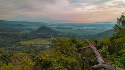 莫阴峰的晨景