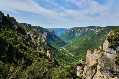 杜塔恩峡谷森林茂密的山谷