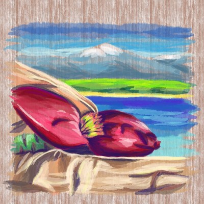 水彩矢量画的香蕉花在木材的背景