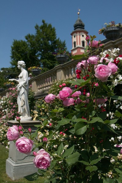 马诺花岛靠近康斯坦茨，Baden-Württemberg，德国，欧洲