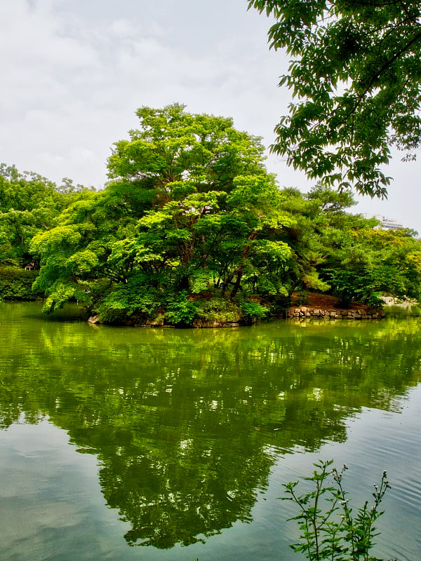 韩国长庚宫春集，池塘和森林