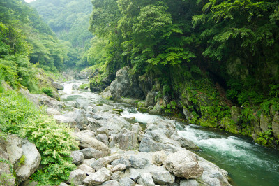 河谷