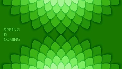 圆剪纸花瓣组成。3D叶与绿色梯度。春季的设计。向量横幅