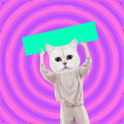 时尚的最小拼贴场景。有趣的猫字符与横幅。社交网络，推广概念。