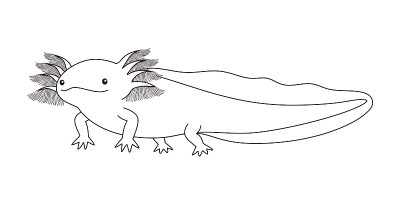 Ahorlotl Woper Looper人物涂色书插图