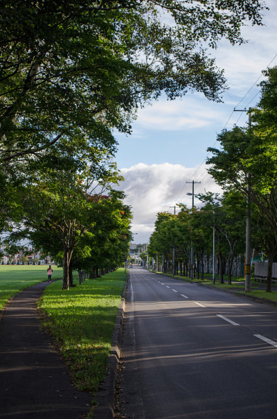 公园和道路