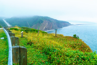 沿着卡伯特小径(Le Buttereau附近)的风景
