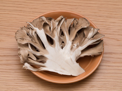 舞茸蘑菇