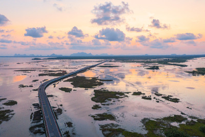 在横跨塔拉诺伊湿地的长桥上的日落
