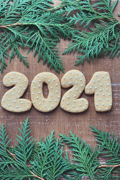 2021年姜饼的乡村木制背景