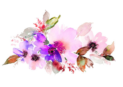 鲜花水彩插图