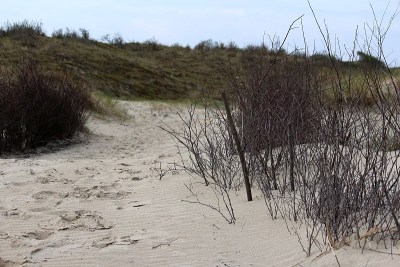 Dünenlandschaft
