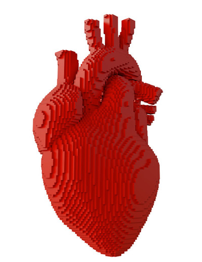 3d打印心脏分离物