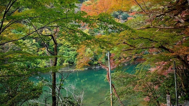 秋日俯瞰岚山峡谷