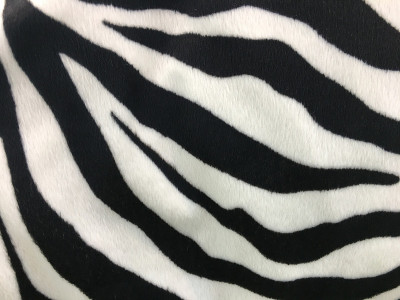 黑白斑马纹