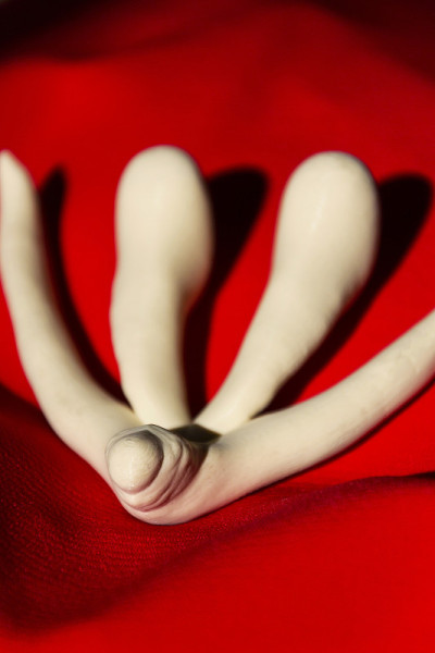 3d打印女性性器官阴蒂，用于人体解剖学课程