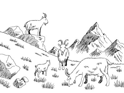 山羊喂养草草甸山脉图形黑白素描插图矢量