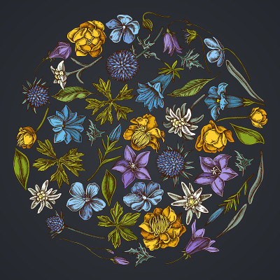 深色背景上的圆形花图案，有风铃花、雪绒花、天竺葵、龙胆草