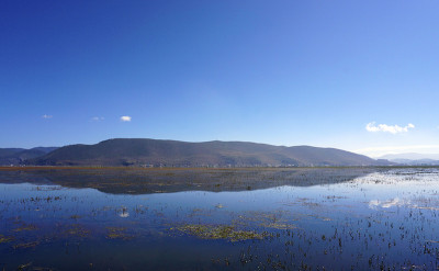纳帕湖(纳帕海)的依拉草原，中国云南。