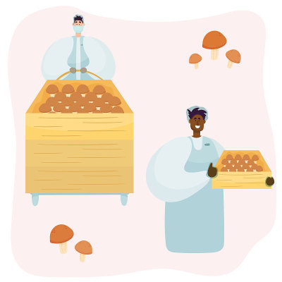 不同民族的工人在蘑菇生产厂工作。蘑菇、食品行业。