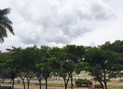 丹格朗一条绿树成荫的公路