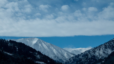 冬天，松树和雪山