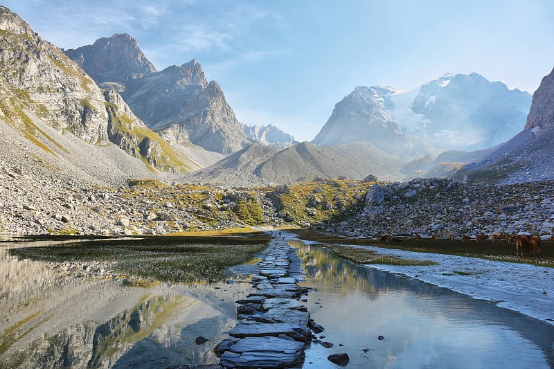 Lac Des Vaches，瓦诺瓦兹国家公园，位于法国阿尔卑斯山