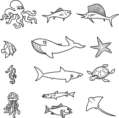 海洋生物的涂鸦