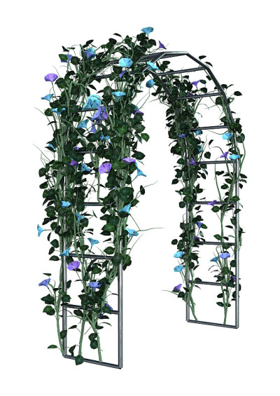 3D渲染花园凉亭与花在白色