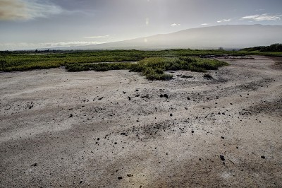 夏威夷毛伊岛基黑海滩的景色