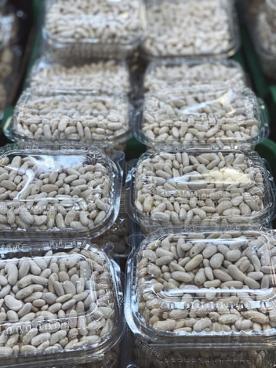 塑料盒子里的白色干豆子