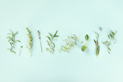 以蓝绿色为背景的烹饪香草。迷迭香，百里香，薰衣草，鼠尾草，从上往下拍，放文字
